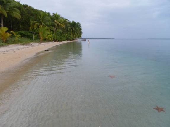 A bela praia de Boca del Drago,  a mais bela da Isla Colón, em Bocas del Toro, no litoral norte do Panamá, lado do Atlântico